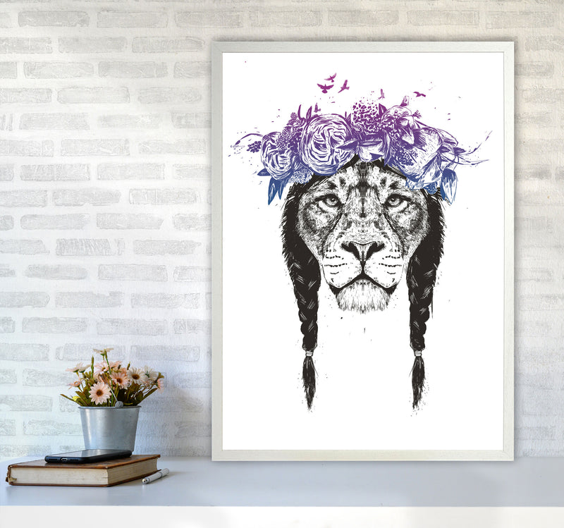King Of Lions Animal Art Print by Balaz Solti A1 Oak Frame