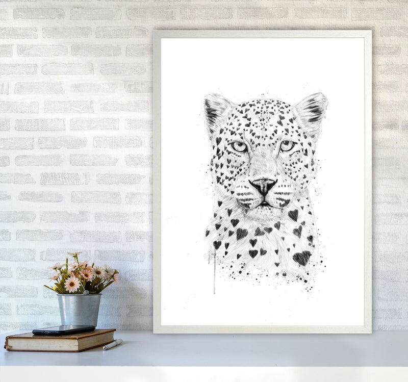 Lovely Leopard Animal Art Print by Balaz Solti A1 Oak Frame