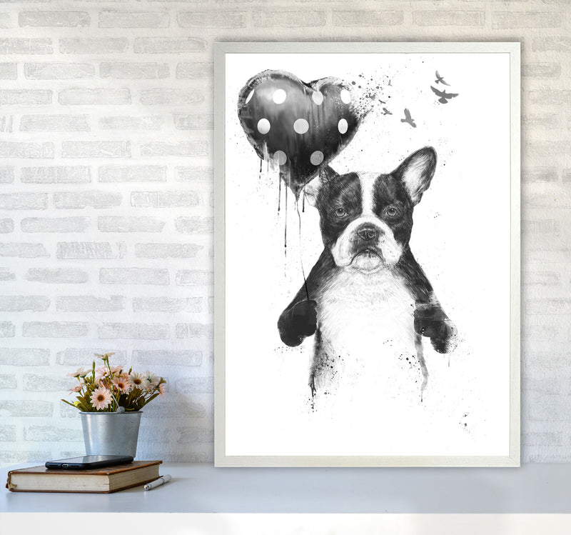 My Heart Goes Boom Bulldog Animal Art Print by Balaz Solti A1 Oak Frame