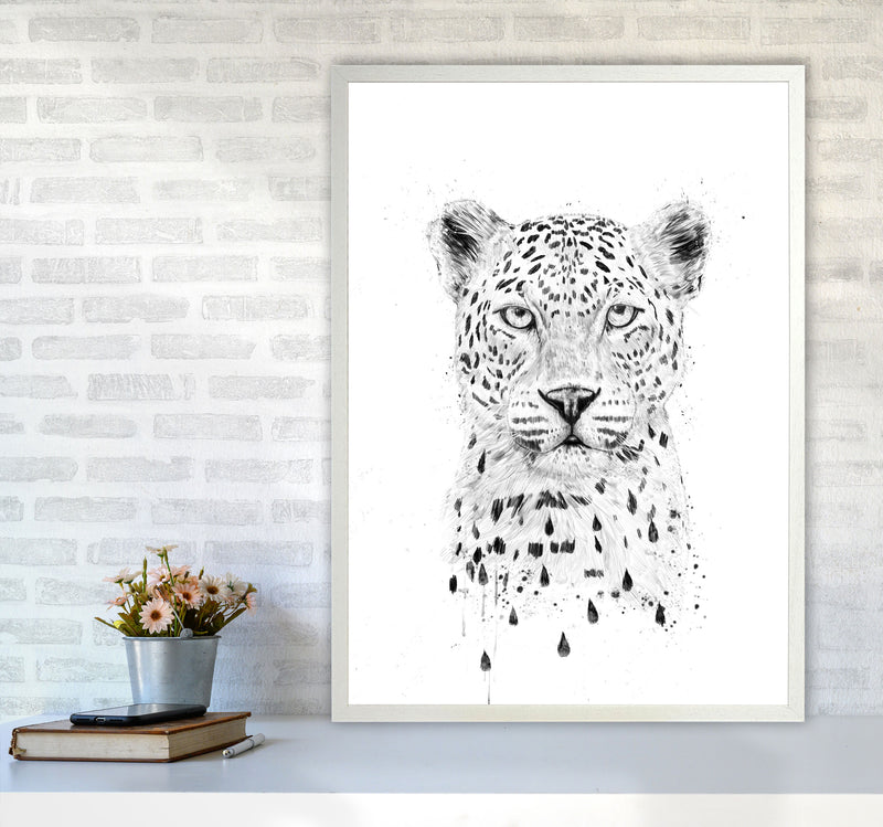 Raining Again Cheetah Animal Art Print by Balaz Solti A1 Oak Frame