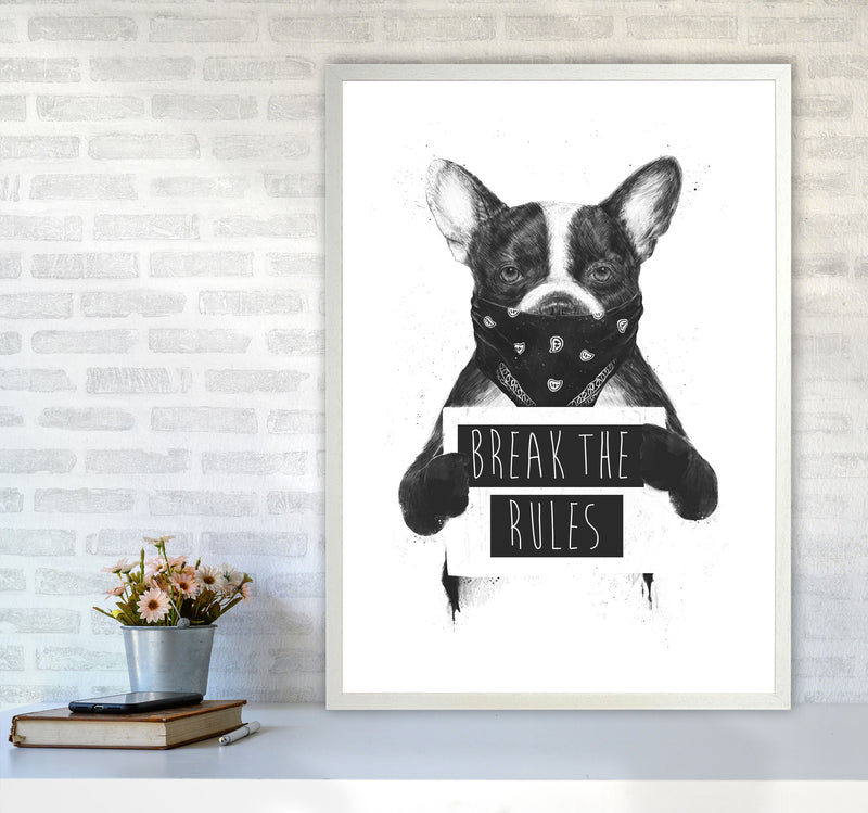 Rebel Bulldog Animal Art Print by Balaz Solti A1 Oak Frame