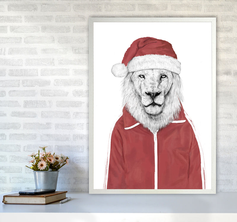 Santa Lion Animal Art Print by Balaz Solti A1 Oak Frame