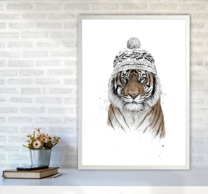 Siberian Tiger Animal Art Print by Balaz Solti A1 Oak Frame