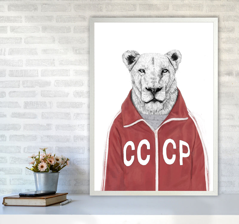 Soviet Lion Animal Art Print by Balaz Solti A1 Oak Frame