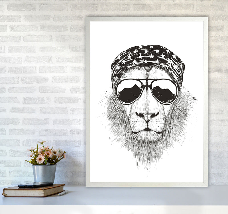 Wild Lion B&W Animal Art Print by Balaz Solti A1 Oak Frame