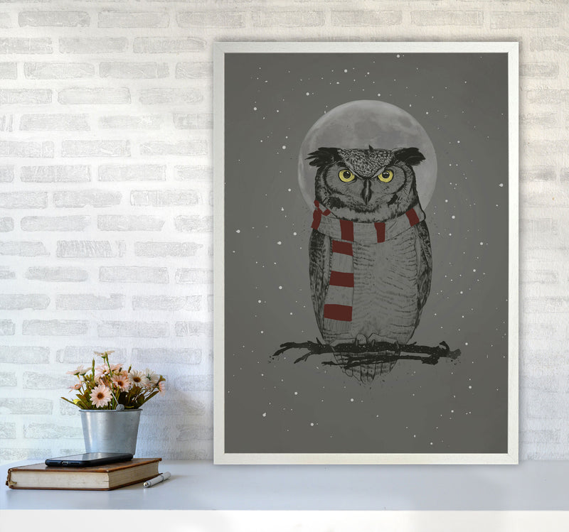 Winter Owl Animal Art Print by Balaz Solti A1 Oak Frame