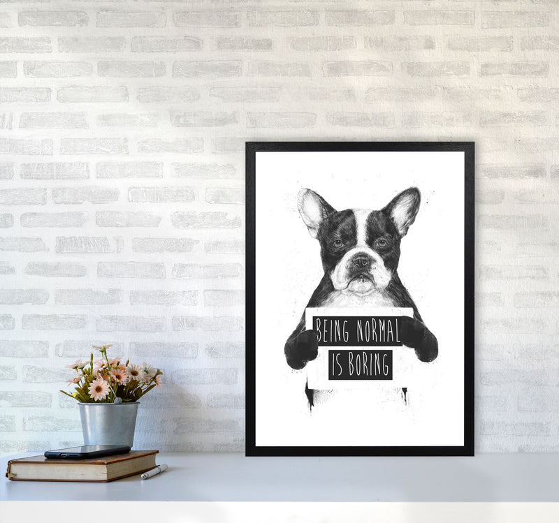 Being Normal Is Boring Animal Art Print by Balaz Solti A2 White Frame