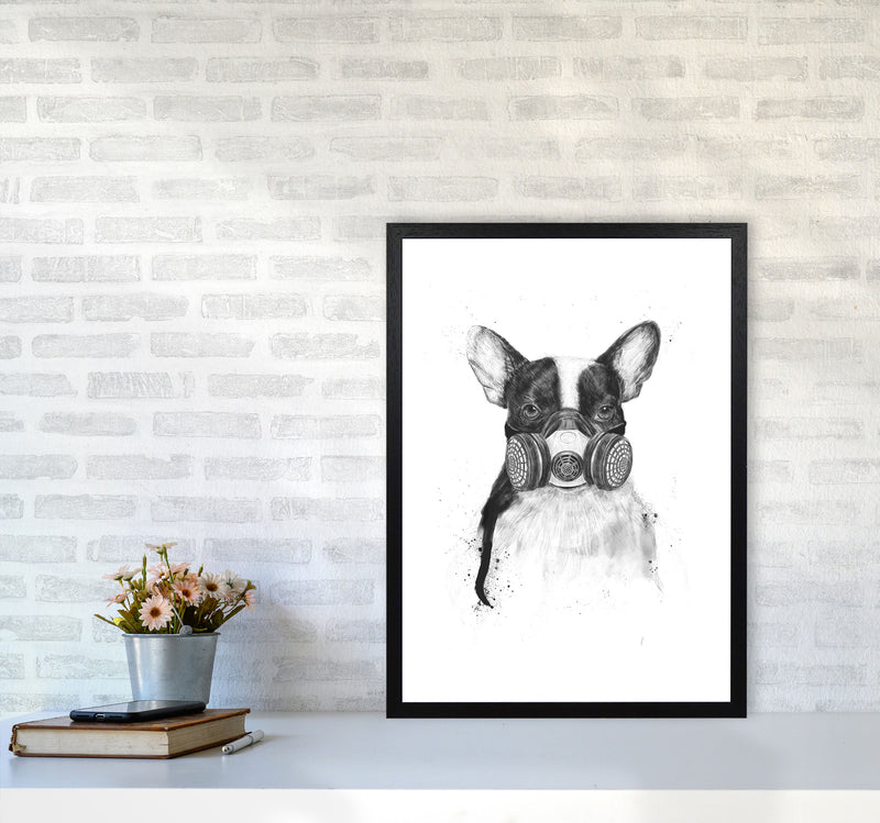 Big City Life Bulldog Animal Art Print by Balaz Solti A2 White Frame