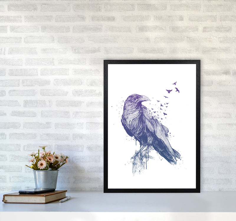 Born To Be Free Raven Animal Art Print by Balaz Solti A2 White Frame
