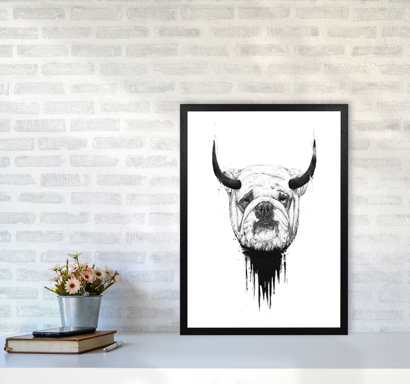 Bulldog Horns Animal Art Print by Balaz Solti A2 White Frame