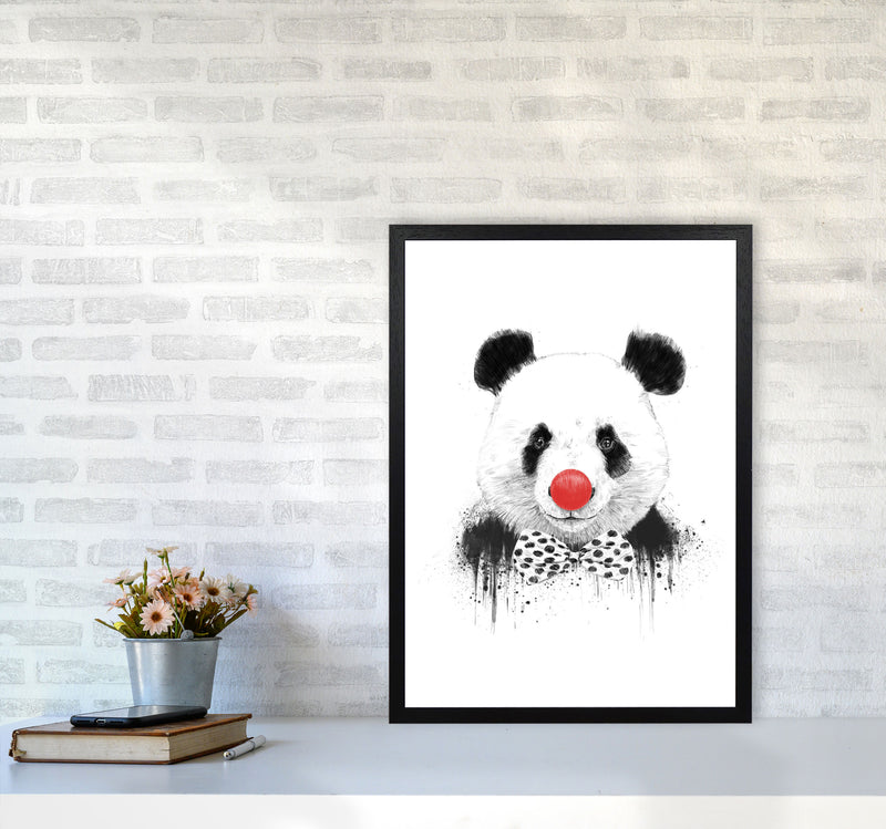 Clown Panda Animal Art Print by Balaz Solti A2 White Frame