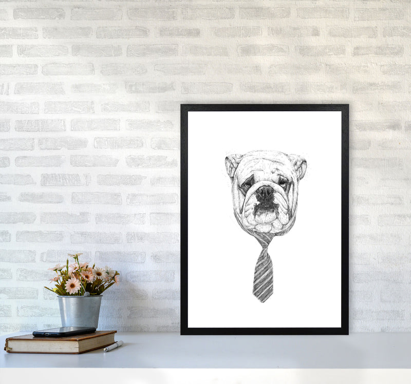 Cool Bulldog Animal Art Print by Balaz Solti A2 White Frame