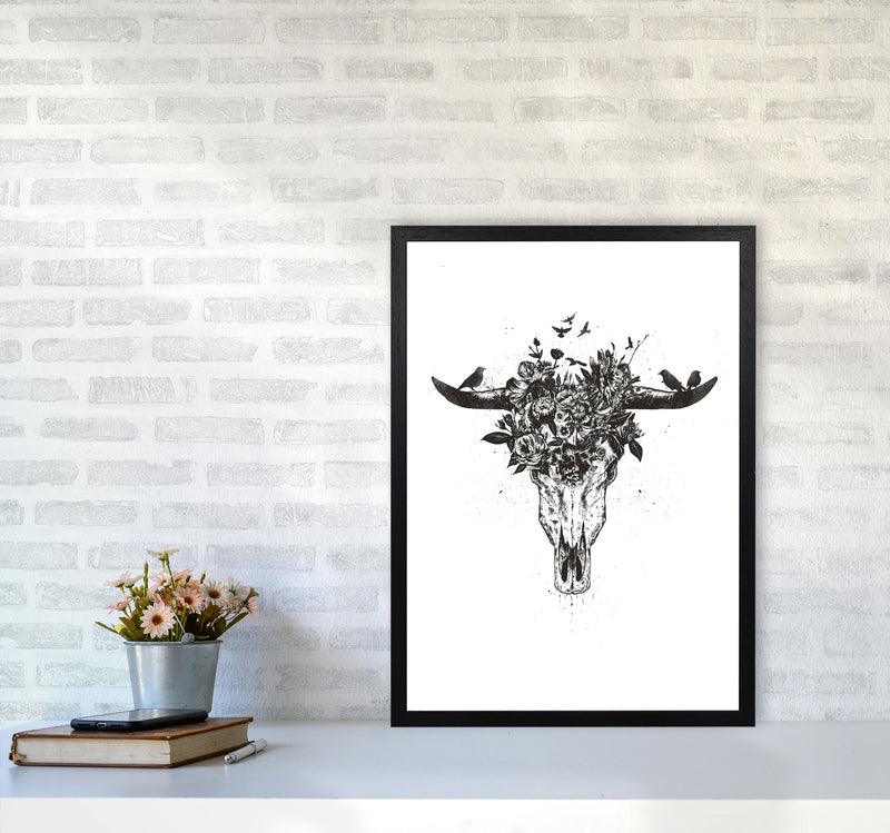 Dead Summer B&W Animal Art Print by Balaz Solti A2 White Frame