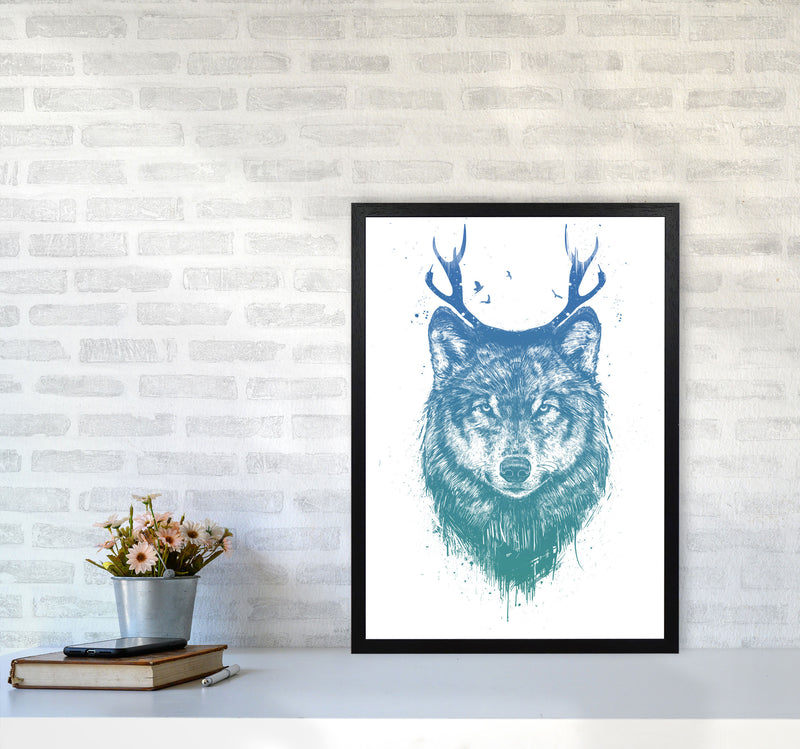 Deer Wolf Animal Art Print by Balaz Solti A2 White Frame
