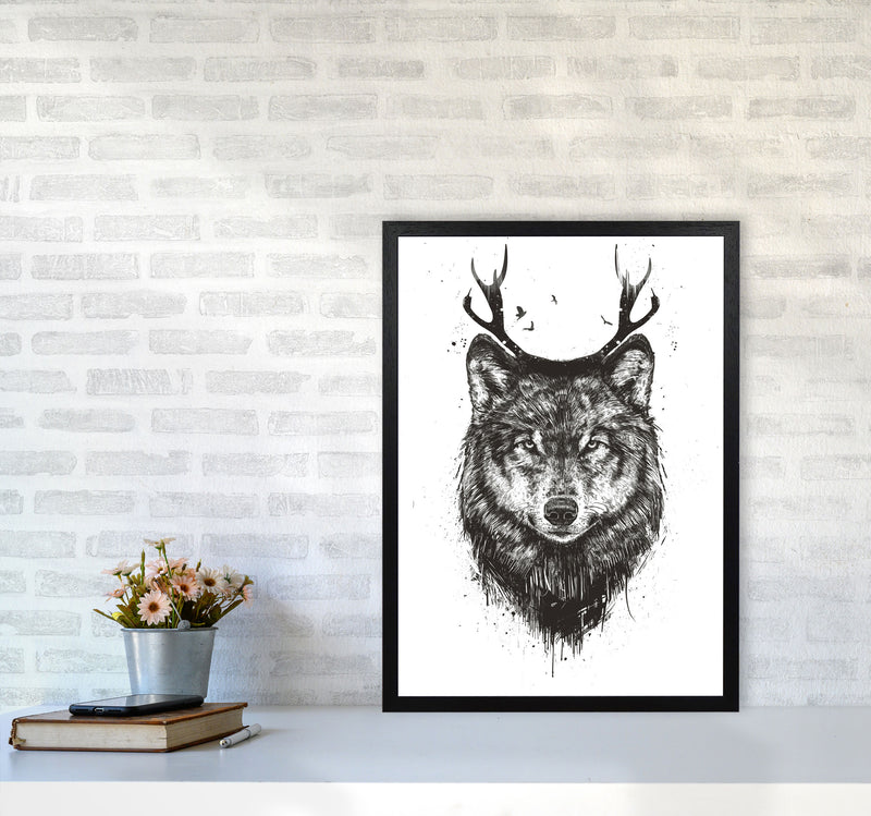 Deer Wolf B&W Animal Art Print by Balaz Solti A2 White Frame