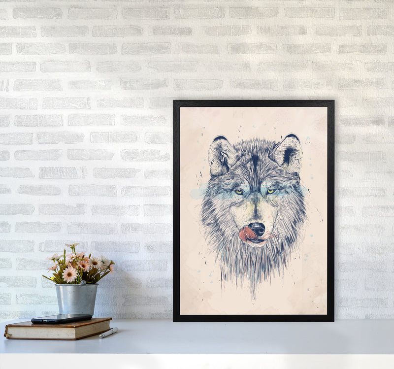 Dinner Time Wolf Animal Art Print by Balaz Solti A2 White Frame