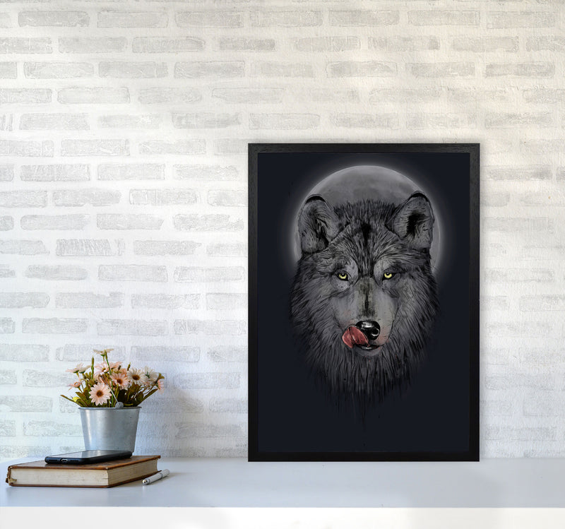 Dinner Time Wolf Night Animal Art Print by Balaz Solti A2 White Frame