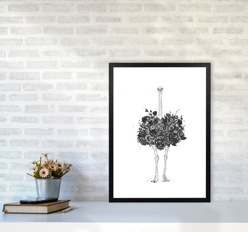Floral Ostrich Animal Art Print by Balaz Solti A2 White Frame