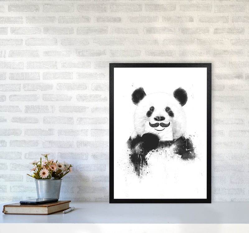 Funny Panda Animal Art Print by Balaz Solti A2 White Frame