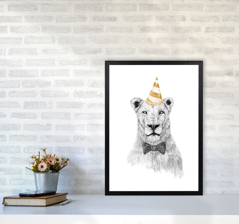 Get The Party Started Lion Colour Animal Art Print by Balaz Solti A2 White Frame