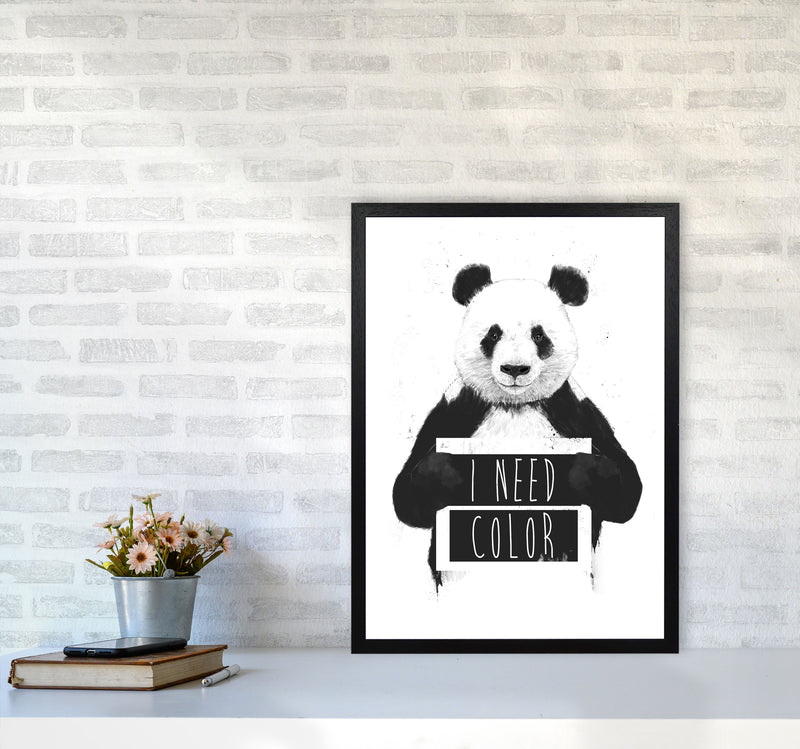 I Need Colour Panda Animal Art Print by Balaz Solti A2 White Frame