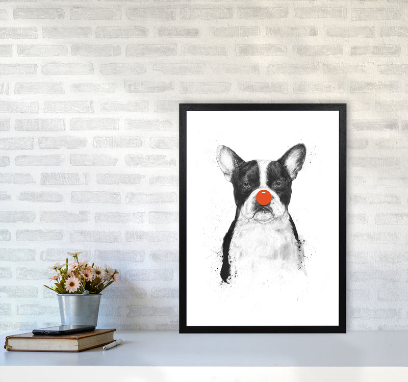 I'm Not Your Clown Bulldog Animal Art Print by Balaz Solti A2 White Frame
