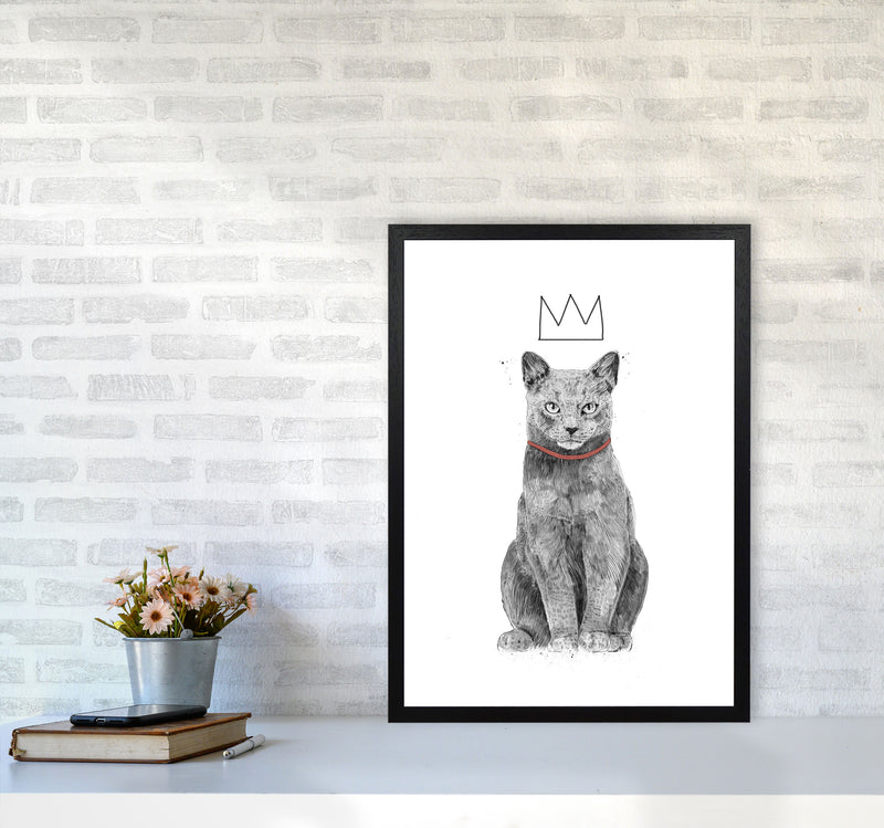 King Of Everything Animal Art Print by Balaz Solti A2 White Frame