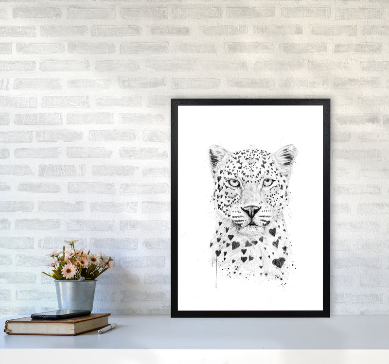 Lovely Leopard Animal Art Print by Balaz Solti A2 White Frame