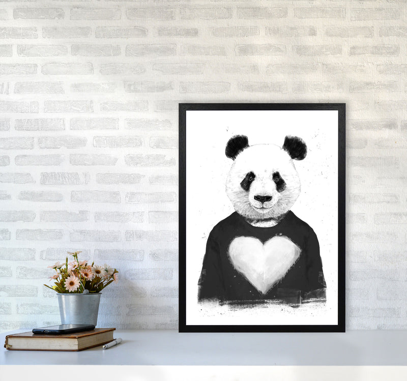 Lovely Panda Animal Art Print by Balaz Solti A2 White Frame