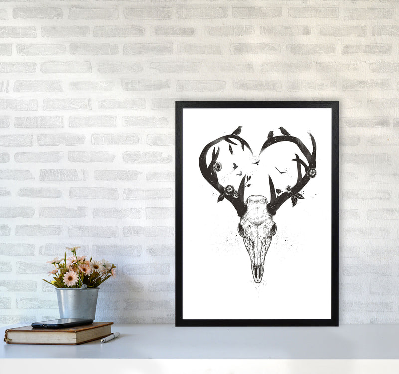 Never-ending Love Deer Skull B&W Animal Art Print by Balaz Solti A2 White Frame
