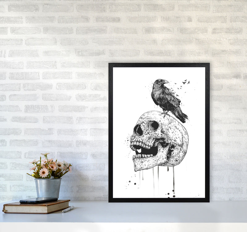 Skull & Raven B&W Animal Art Print by Balaz Solti A2 White Frame