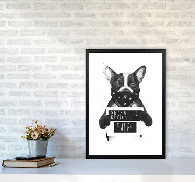 Rebel Bulldog Animal Art Print by Balaz Solti A2 White Frame