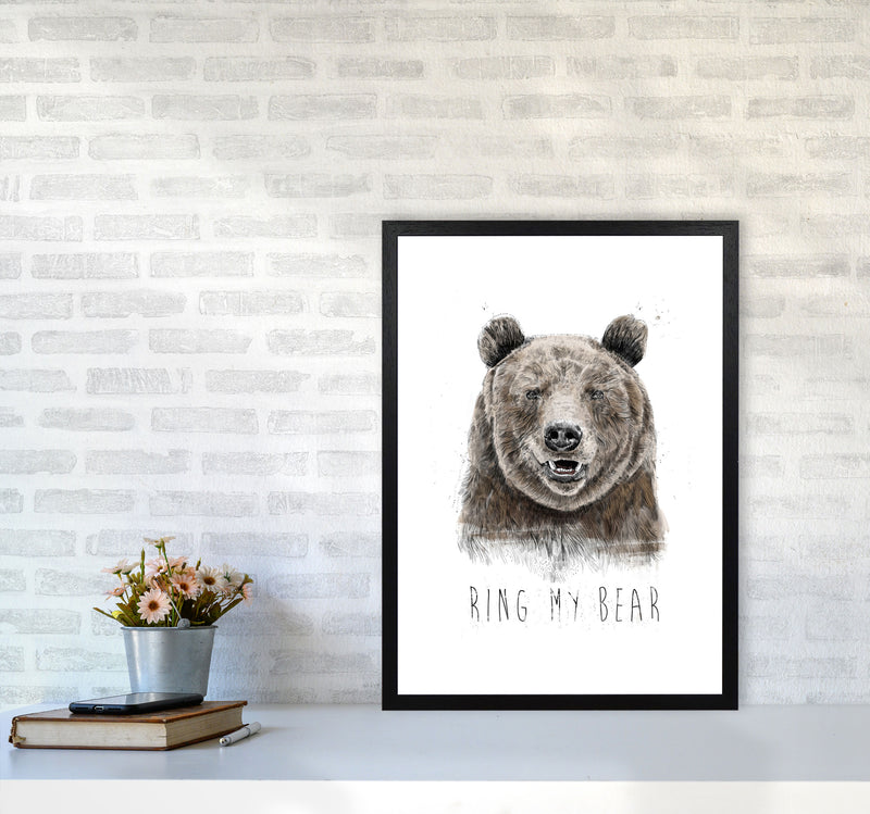 Ring My Bear Animal Art Print by Balaz Solti A2 White Frame
