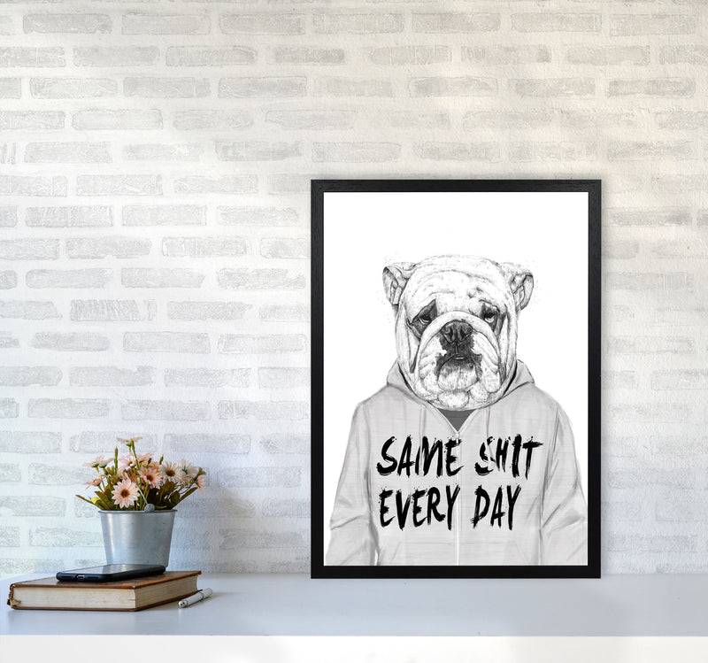 Same Sh*t Everyday Bulldog Animal Art Print by Balaz Solti A2 White Frame