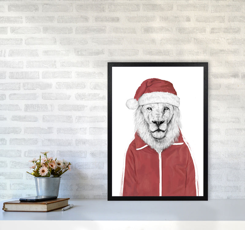 Santa Lion Animal Art Print by Balaz Solti A2 White Frame