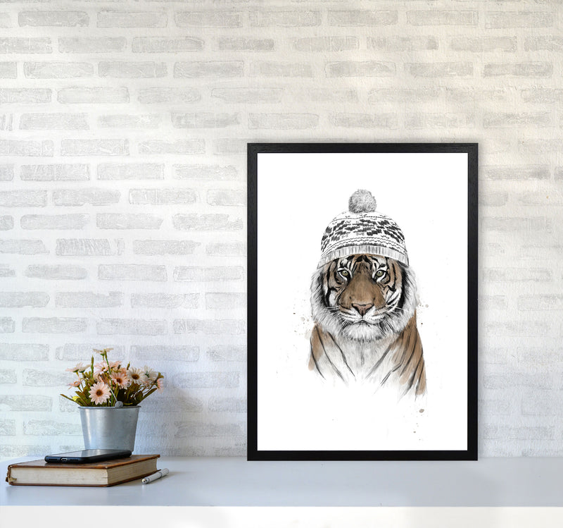 Siberian Tiger Animal Art Print by Balaz Solti A2 White Frame