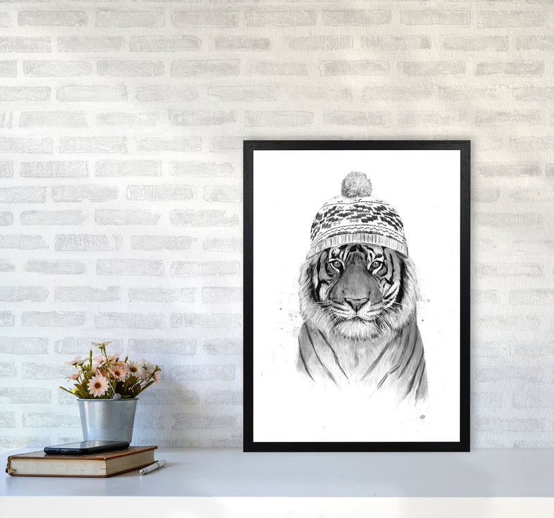 Siberian Tiger B&W Animal Art Print by Balaz Solti A2 White Frame