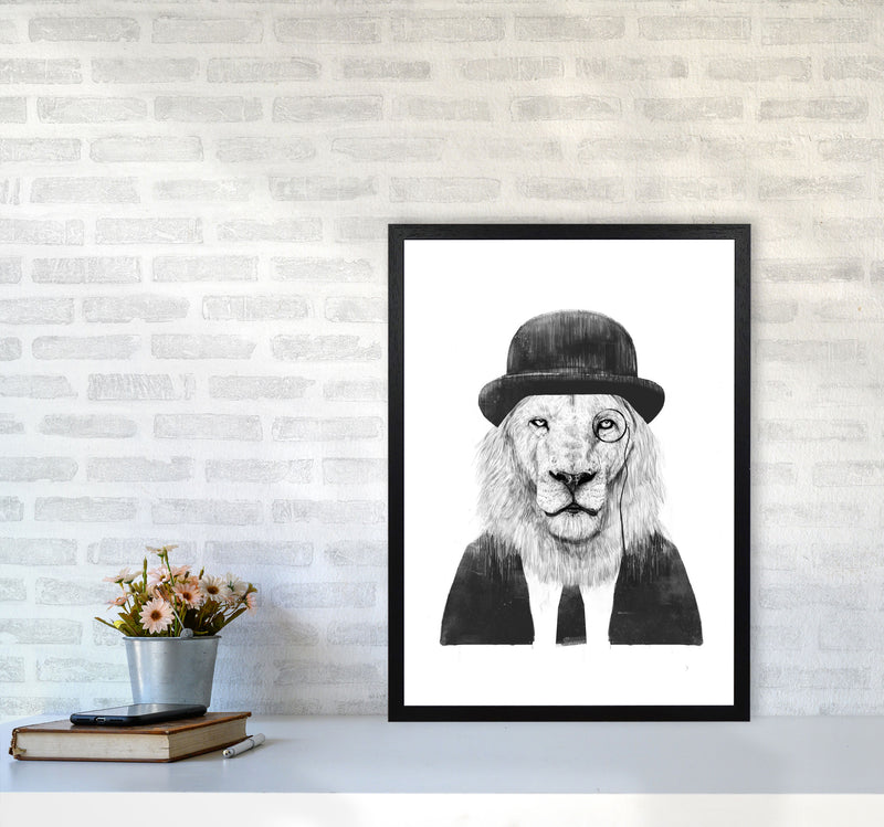 Sir Lion Animal Art Print by Balaz Solti A2 White Frame