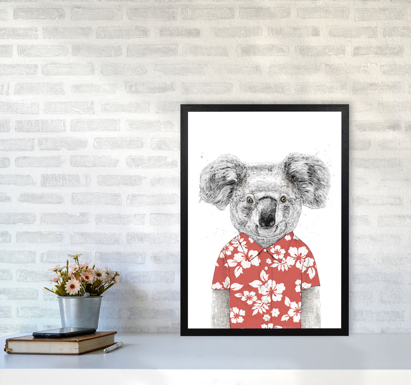 Summer Koala Red Animal Art Print by Balaz Solti A2 White Frame
