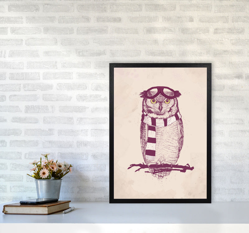 The Aviator Owl Animal Art Print by Balaz Solti A2 White Frame