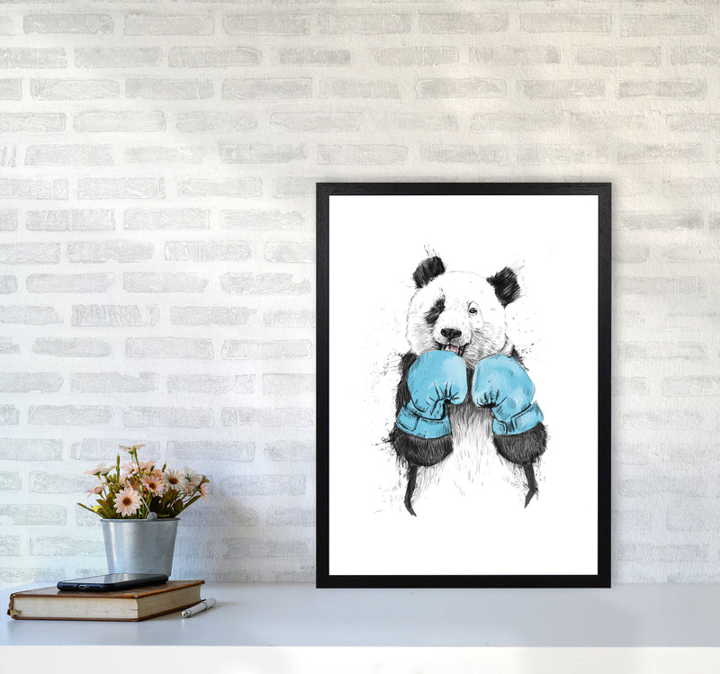 The Winner Boxing Panda Animal Art Print by Balaz Solti A2 White Frame