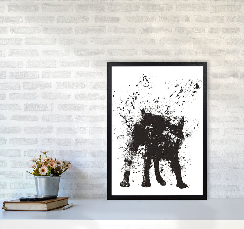 Wet Dog Animal Art Print by Balaz Solti A2 White Frame