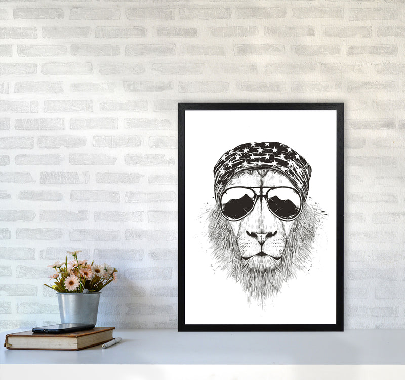 Wild Lion B&W Animal Art Print by Balaz Solti A2 White Frame