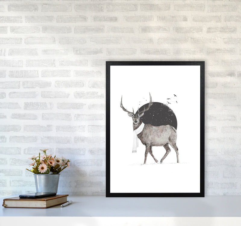 Winter Is All Around Stag Colour Animal Art Print by Balaz Solti A2 White Frame