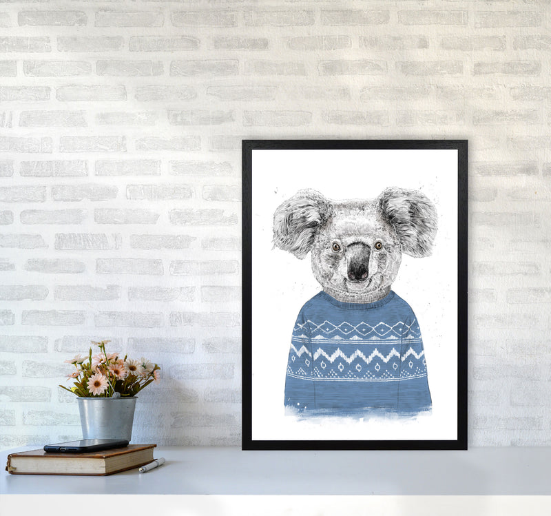 Winter Koala Blue Animal Art Print by Balaz Solti A2 White Frame