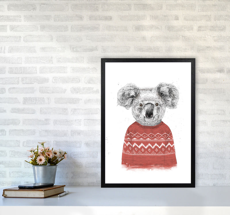 Winter Koala Red Animal Art Print by Balaz Solti A2 White Frame