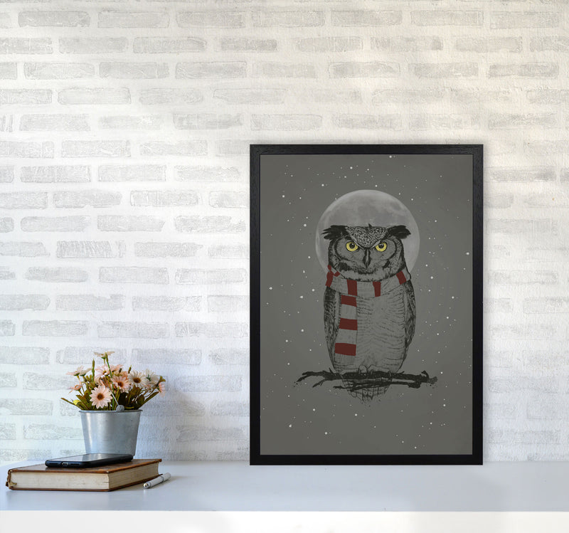 Winter Owl Animal Art Print by Balaz Solti A2 White Frame