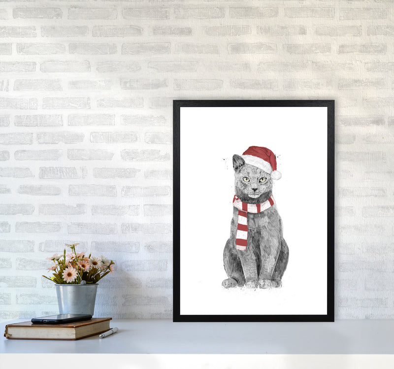 Christmas Cat Animal Art Print by Balaz Solti A2 White Frame