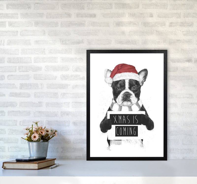 Xmas Is Coming Animal Art Print by Balaz Solti A2 White Frame