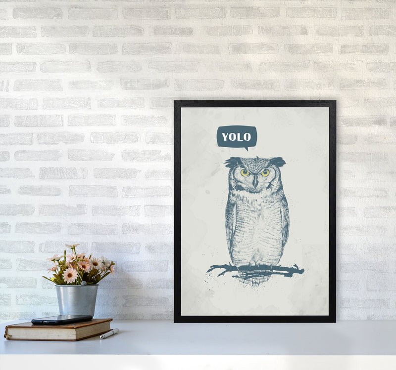 Yolo Owl Animal Art Print by Balaz Solti A2 White Frame